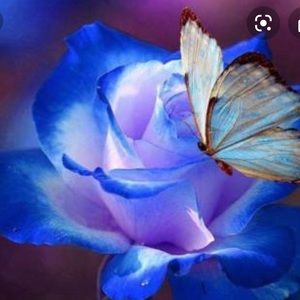 Meet your Posher, Gia